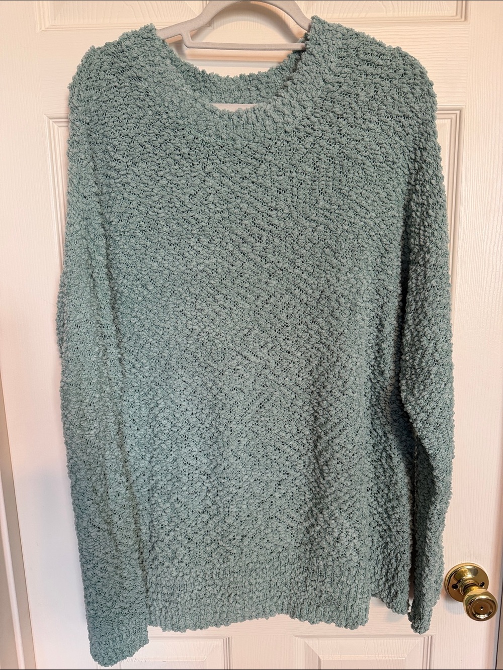 Cozy Plush Crewneck Sweater - Seafoam Green(0010)